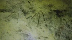 The Curse of Oak Island 11. sezon 23. bölüm görseli