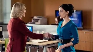 The Good Wife 4. sezon 16. bölüm görseli