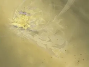 Beyblade 1. sezon 10. bölüm görseli