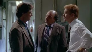 6. Bölüm