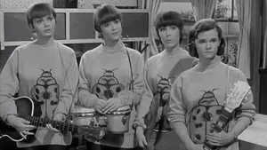 Petticoat Junction 1. sezon 27. bölüm görseli