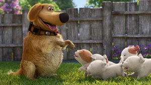 Köpek Yavruları
