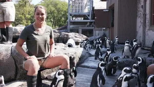 Sam's Zookeeper Challenge 1. sezon 1. bölüm görseli
