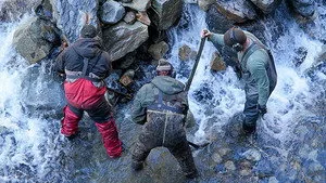 Altın Peşinde: Köpüklü Sular 9. sezon 10. bölüm görseli