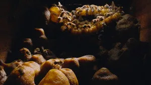 1. Bölüm