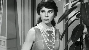 Perry Mason 2. sezon 21. bölüm görseli