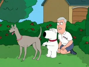 Köpeği Pert Etti