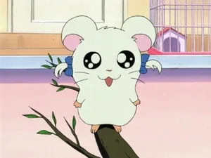 Hamtaro 1. sezon 4. bölüm görseli
