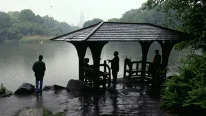 Central Park Cinayeti