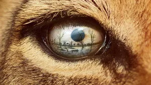 Aslan