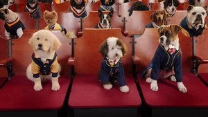 Köpek Takımyıldızı Sönüyor