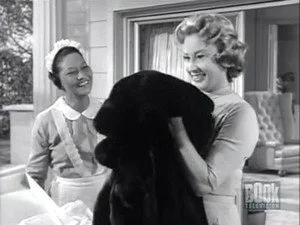 Alfred Hitchcock Sunar 6. sezon 1. bölüm görseli