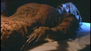 8. Bölüm