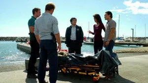Hawaii Five-0 2. sezon 8. bölüm görseli