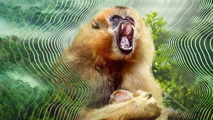 David Attenborough ile Sesin Gizli Dünyası 1. sezon 2. bölüm görseli