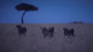 Dünya'da Gece 1. sezon 1. bölüm görseli