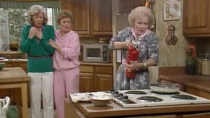 The Golden Girls 1. sezon 23. bölüm görseli