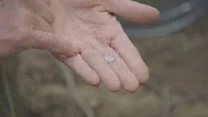 The Curse of Oak Island 12. sezon 13. bölüm görseli