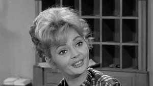 Petticoat Junction 1. sezon 18. bölüm görseli