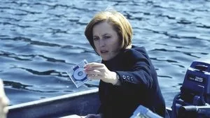 Dostça