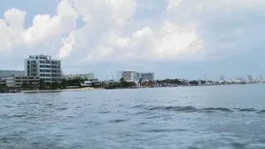 When Sharks Attack 4. sezon 5. bölüm görseli