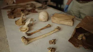 Naming the Dead 1. sezon 2. bölüm görseli