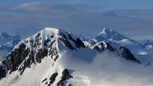 8. Bölüm