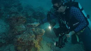 Mabul Adası: Miniklerin Dünyası