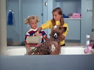 The Brady Bunch 1. sezon 5. bölüm görseli