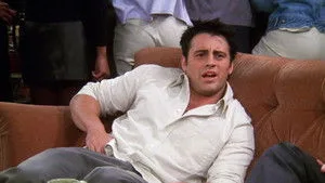 Sigortasız Joey