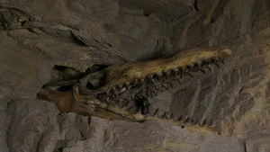 1. Bölüm