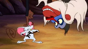 Timon ve Pumba 1. sezon 4. bölüm görseli