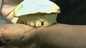 1. Bölüm