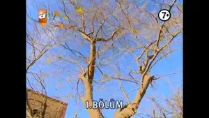 1. Bölüm