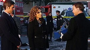 CSI: NY 5. sezon 17. bölüm görseli
