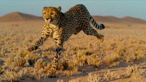 Big Cats 1. sezon 3. bölüm görseli