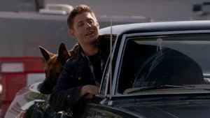 Dean, Köpek ve Öğleden Sonra