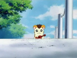 Hamtaro 1. sezon 10. bölüm görseli