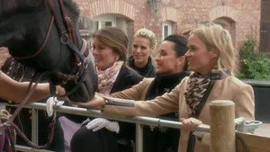 The Real Housewives of Beverly Hills 8. sezon 16. bölüm görseli