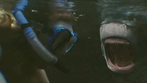 When Sharks Attack 6. sezon 5. bölüm görseli