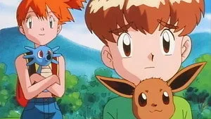 Savaşan Eevee Kardeşler