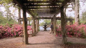 Dawson's Creek 6. sezon 22. bölüm görseli