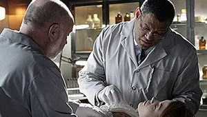 CSI: Crime Scene Investigation 9. sezon 14. bölüm görseli