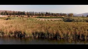 Yedi Uyurlar / Öykü Karayel