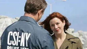 CSI: NY 4. sezon 17. bölüm görseli
