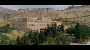 Şahmaran / Belçim Bilgin