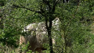 3. Bölüm