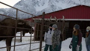 2. Bölüm
