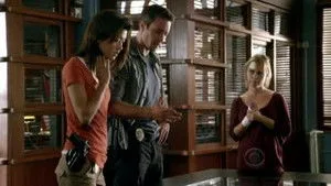 Hawaii Five-0 1. sezon 13. bölüm görseli