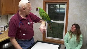 Yetenekli Doktor Pol 17. sezon 9. bölüm görseli